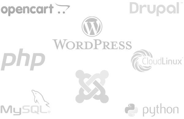Most Reliable Web Hosting in UP